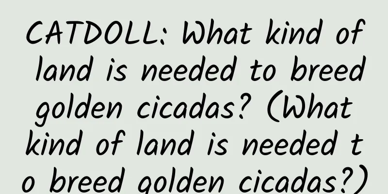 CATDOLL: What kind of land is needed to breed golden cicadas? (What kind of land is needed to breed golden cicadas?)