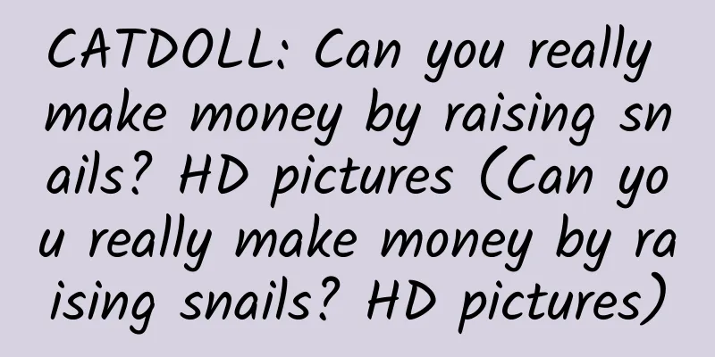 CATDOLL: Can you really make money by raising snails? HD pictures (Can you really make money by raising snails? HD pictures)