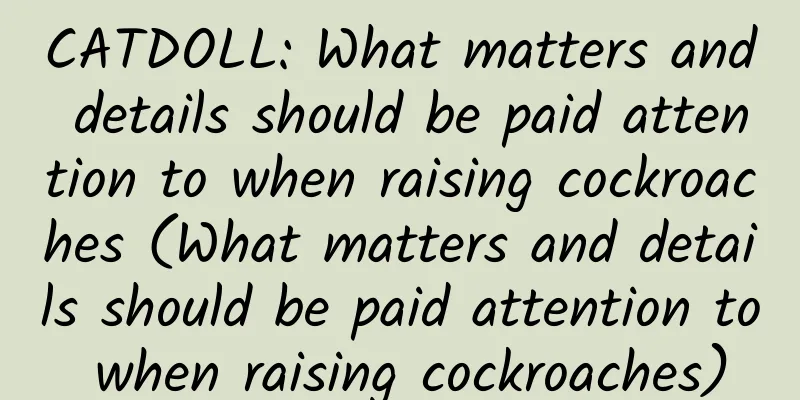 CATDOLL: What matters and details should be paid attention to when raising cockroaches (What matters and details should be paid attention to when raising cockroaches)