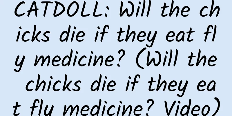 CATDOLL: Will the chicks die if they eat fly medicine? (Will the chicks die if they eat fly medicine? Video)