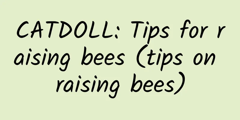 CATDOLL: Tips for raising bees (tips on raising bees)