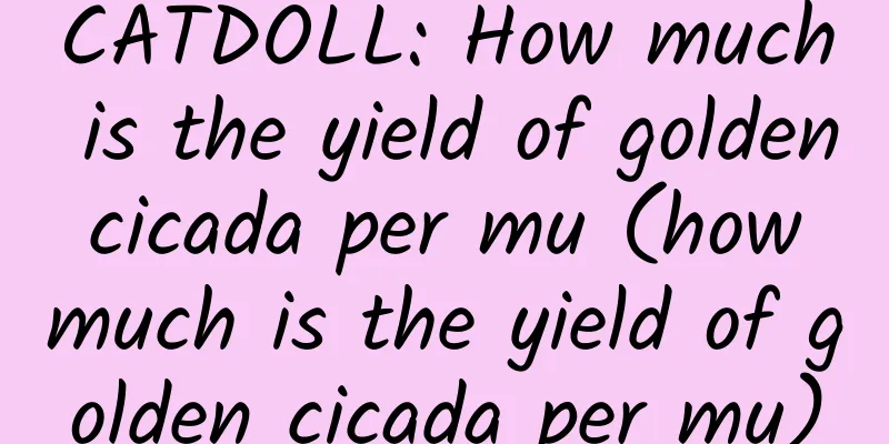 CATDOLL: How much is the yield of golden cicada per mu (how much is the yield of golden cicada per mu)