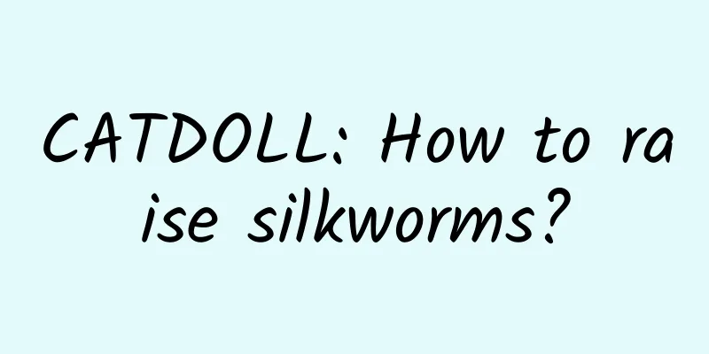 CATDOLL: How to raise silkworms?