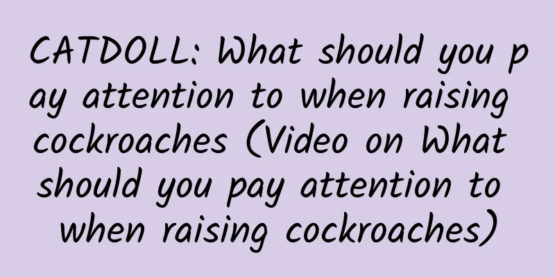 CATDOLL: What should you pay attention to when raising cockroaches (Video on What should you pay attention to when raising cockroaches)