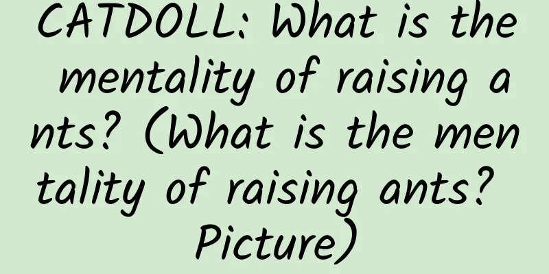 CATDOLL: What is the mentality of raising ants? (What is the mentality of raising ants? Picture)