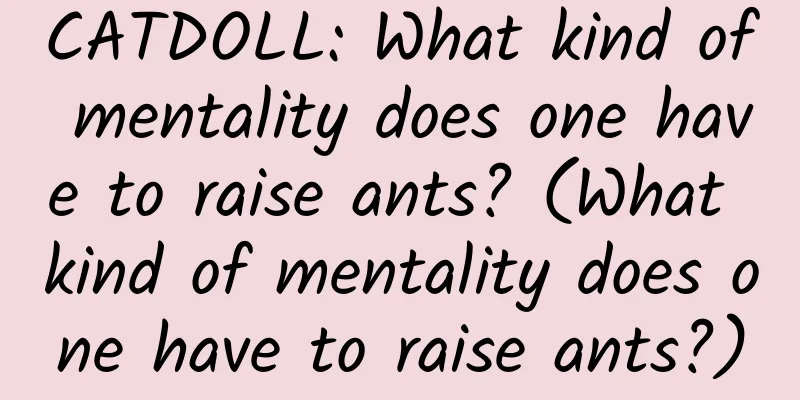 CATDOLL: What kind of mentality does one have to raise ants? (What kind of mentality does one have to raise ants?)