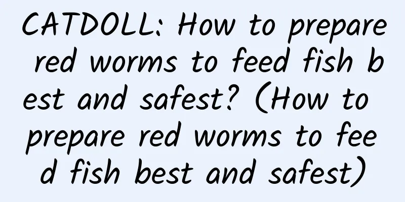 CATDOLL: How to prepare red worms to feed fish best and safest? (How to prepare red worms to feed fish best and safest)