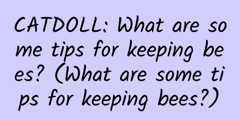 CATDOLL: What are some tips for keeping bees? (What are some tips for keeping bees?)
