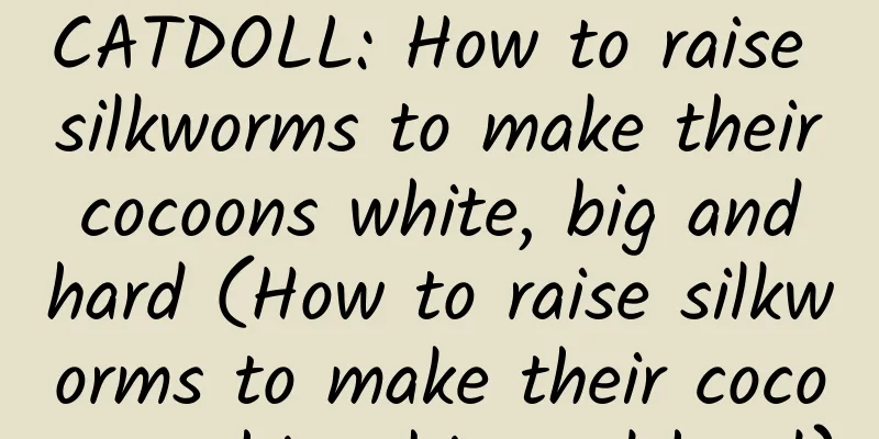 CATDOLL: How to raise silkworms to make their cocoons white, big and hard (How to raise silkworms to make their cocoons white, big and hard)