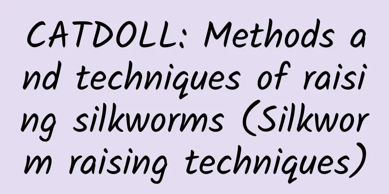 CATDOLL: Methods and techniques of raising silkworms (Silkworm raising techniques)