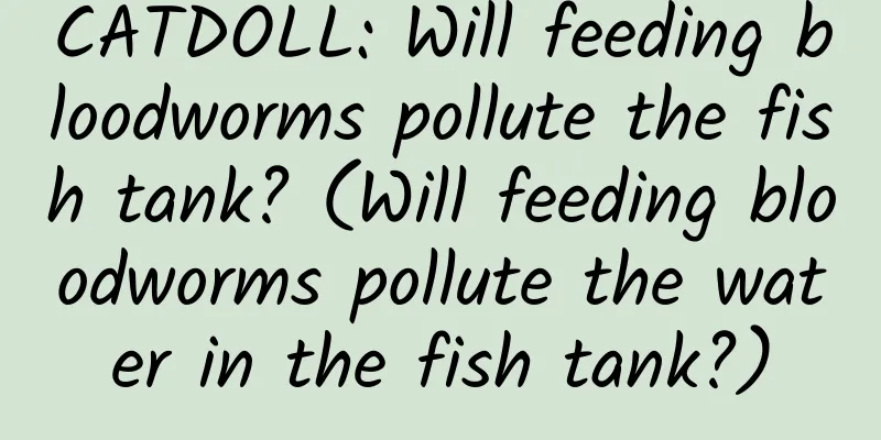 CATDOLL: Will feeding bloodworms pollute the fish tank? (Will feeding bloodworms pollute the water in the fish tank?)
