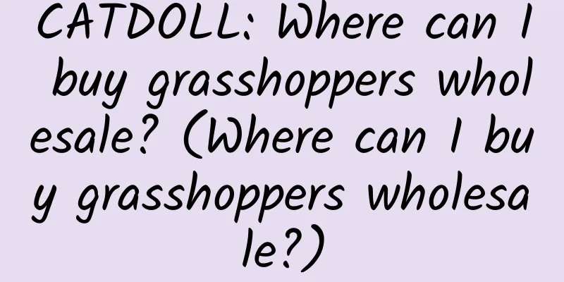 CATDOLL: Where can I buy grasshoppers wholesale? (Where can I buy grasshoppers wholesale?)