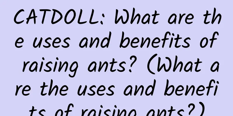 CATDOLL: What are the uses and benefits of raising ants? (What are the uses and benefits of raising ants?)