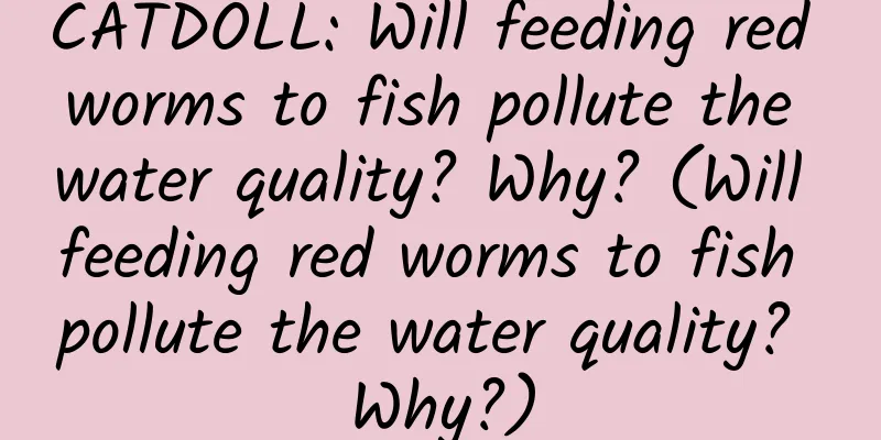CATDOLL: Will feeding red worms to fish pollute the water quality? Why? (Will feeding red worms to fish pollute the water quality? Why?)
