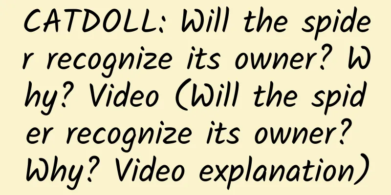 CATDOLL: Will the spider recognize its owner? Why? Video (Will the spider recognize its owner? Why? Video explanation)
