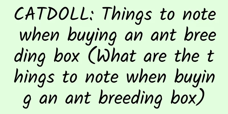 CATDOLL: Things to note when buying an ant breeding box (What are the things to note when buying an ant breeding box)