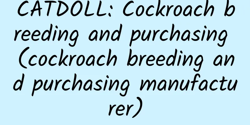 CATDOLL: Cockroach breeding and purchasing (cockroach breeding and purchasing manufacturer)