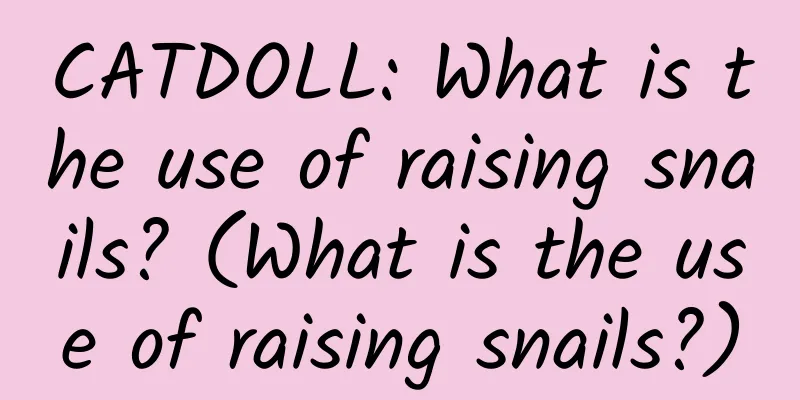 CATDOLL: What is the use of raising snails? (What is the use of raising snails?)