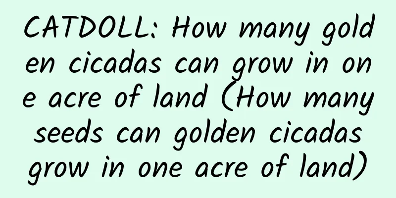 CATDOLL: How many golden cicadas can grow in one acre of land (How many seeds can golden cicadas grow in one acre of land)