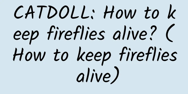 CATDOLL: How to keep fireflies alive? (How to keep fireflies alive)