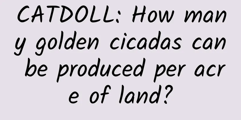 CATDOLL: How many golden cicadas can be produced per acre of land?