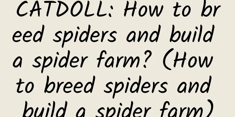CATDOLL: How to breed spiders and build a spider farm? (How to breed spiders and build a spider farm)