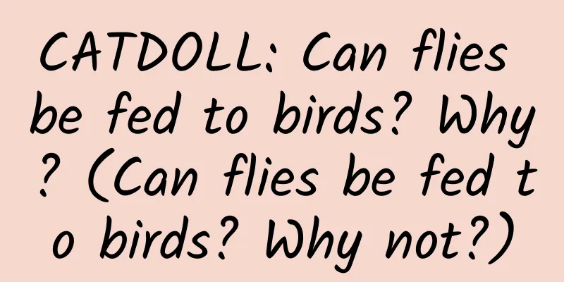 CATDOLL: Can flies be fed to birds? Why? (Can flies be fed to birds? Why not?)