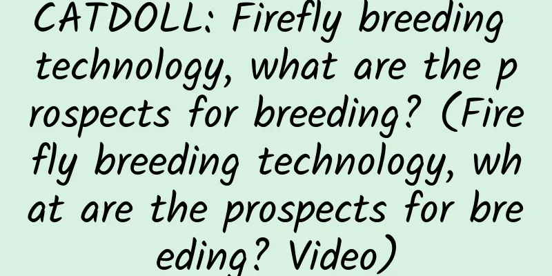 CATDOLL: Firefly breeding technology, what are the prospects for breeding? (Firefly breeding technology, what are the prospects for breeding? Video)