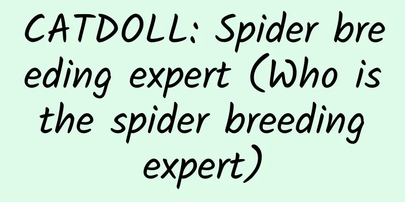 CATDOLL: Spider breeding expert (Who is the spider breeding expert)