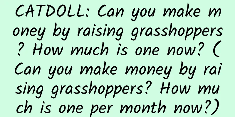 CATDOLL: Can you make money by raising grasshoppers? How much is one now? (Can you make money by raising grasshoppers? How much is one per month now?)