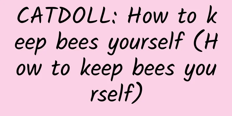 CATDOLL: How to keep bees yourself (How to keep bees yourself)