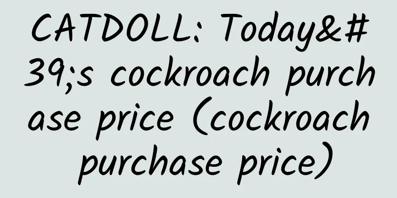 CATDOLL: Today's cockroach purchase price (cockroach purchase price)