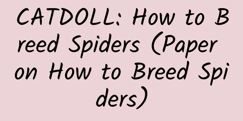 CATDOLL: How to Breed Spiders (Paper on How to Breed Spiders)