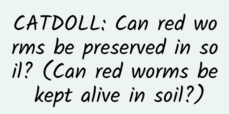 CATDOLL: Can red worms be preserved in soil? (Can red worms be kept alive in soil?)