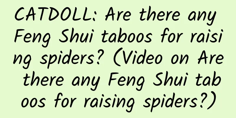 CATDOLL: Are there any Feng Shui taboos for raising spiders? (Video on Are there any Feng Shui taboos for raising spiders?)