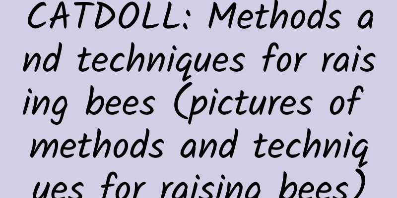 CATDOLL: Methods and techniques for raising bees (pictures of methods and techniques for raising bees)