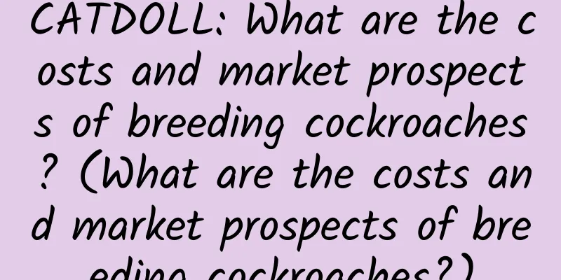 CATDOLL: What are the costs and market prospects of breeding cockroaches? (What are the costs and market prospects of breeding cockroaches?)