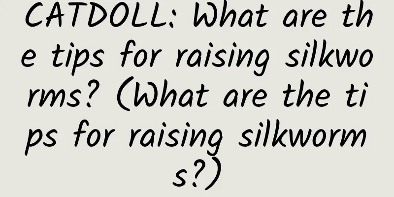 CATDOLL: What are the tips for raising silkworms? (What are the tips for raising silkworms?)