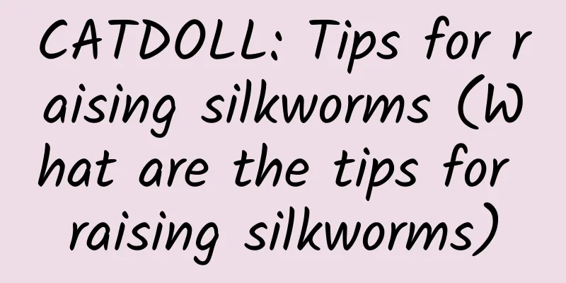 CATDOLL: Tips for raising silkworms (What are the tips for raising silkworms)