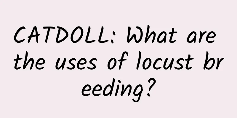 CATDOLL: What are the uses of locust breeding?