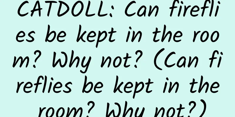 CATDOLL: Can fireflies be kept in the room? Why not? (Can fireflies be kept in the room? Why not?)