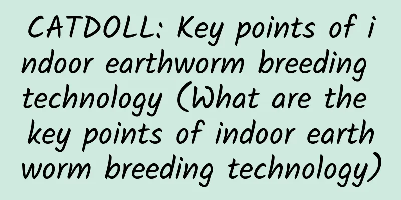 CATDOLL: Key points of indoor earthworm breeding technology (What are the key points of indoor earthworm breeding technology)