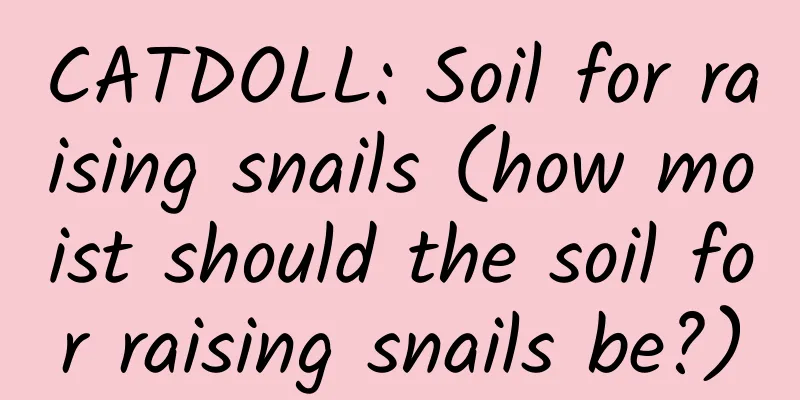 CATDOLL: Soil for raising snails (how moist should the soil for raising snails be?)