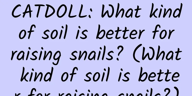 CATDOLL: What kind of soil is better for raising snails? (What kind of soil is better for raising snails?)