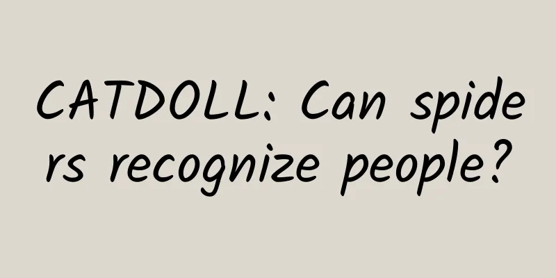 CATDOLL: Can spiders recognize people?