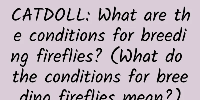 CATDOLL: What are the conditions for breeding fireflies? (What do the conditions for breeding fireflies mean?)
