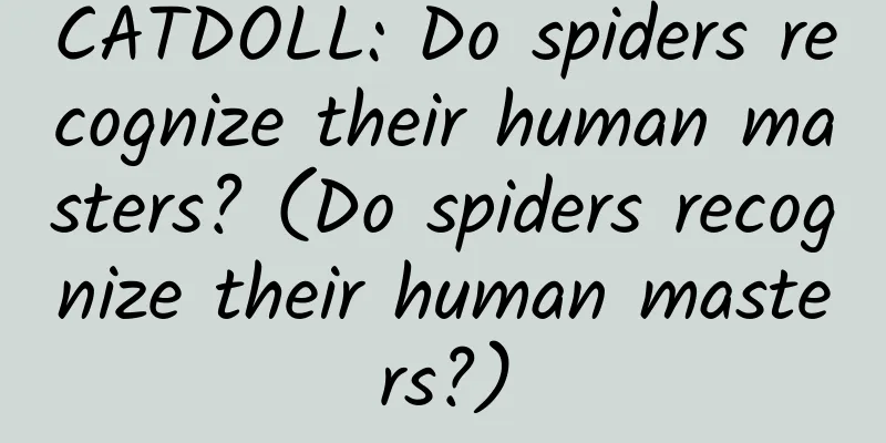 CATDOLL: Do spiders recognize their human masters? (Do spiders recognize their human masters?)