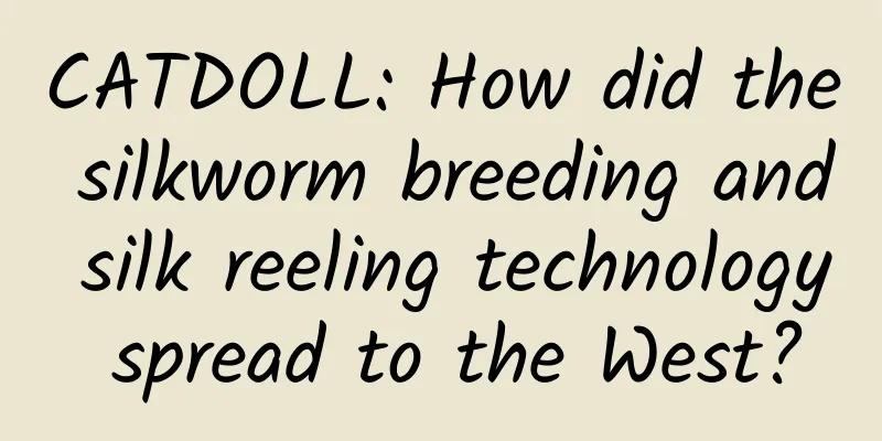 CATDOLL: How did the silkworm breeding and silk reeling technology spread to the West?