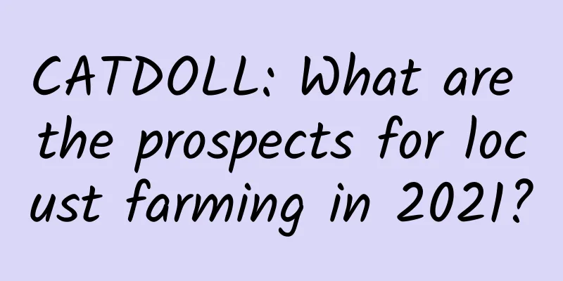 CATDOLL: What are the prospects for locust farming in 2021?