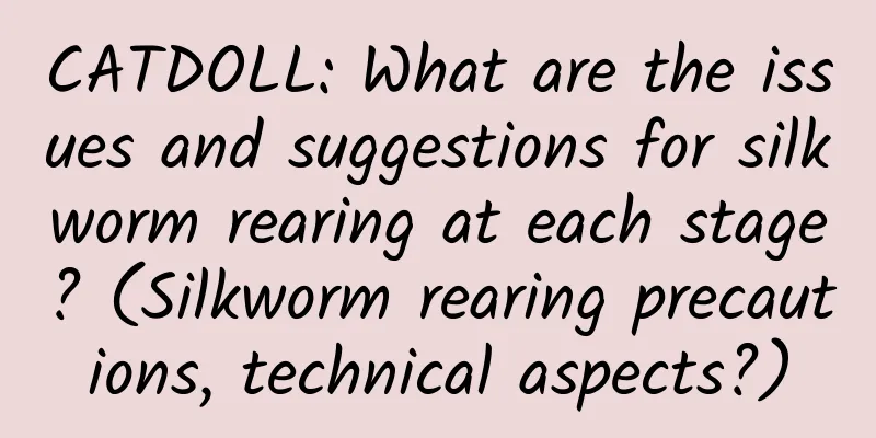 CATDOLL: What are the issues and suggestions for silkworm rearing at each stage? (Silkworm rearing precautions, technical aspects?)